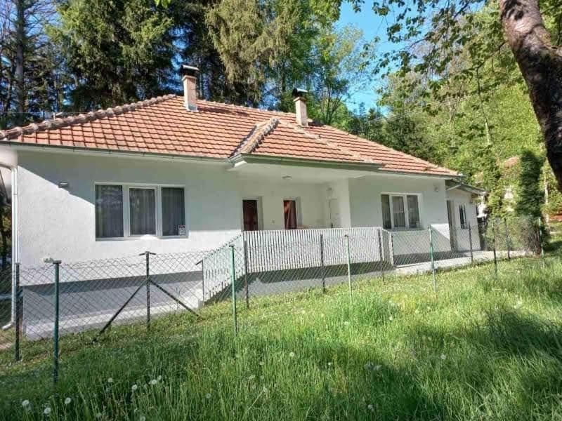 Apartmani Grza Парачин Екстериор снимка