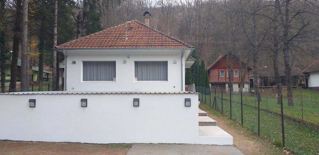 Apartmani Grza Парачин Екстериор снимка