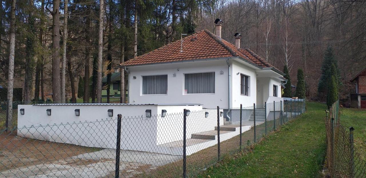 Apartmani Grza Парачин Екстериор снимка