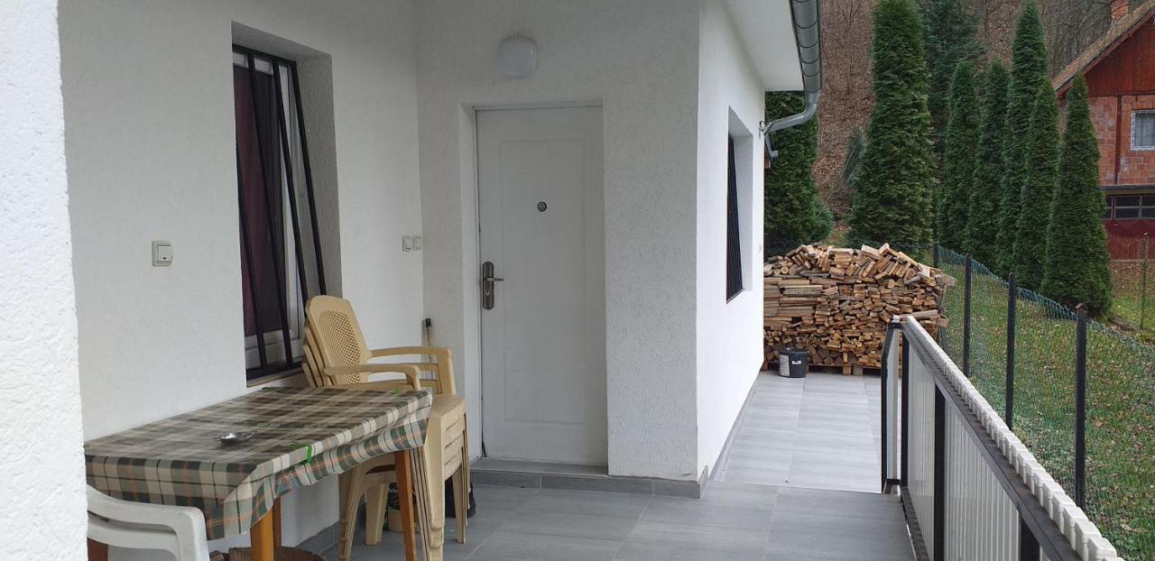 Apartmani Grza Парачин Екстериор снимка