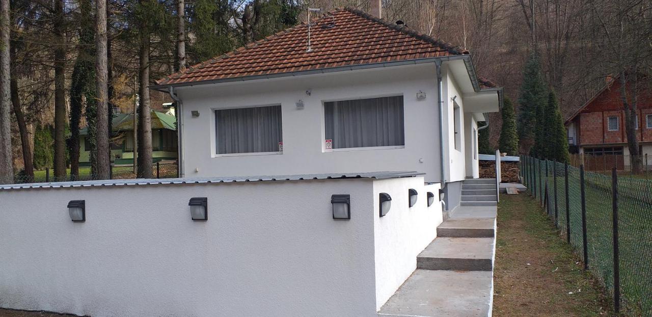 Apartmani Grza Парачин Екстериор снимка