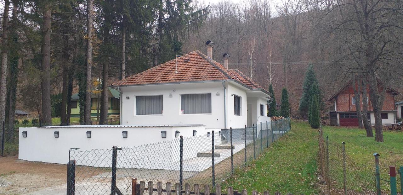 Apartmani Grza Парачин Екстериор снимка